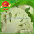 Coliflor Congelado Coliflor Blanco